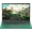 Green, variant on Rumtuk 16" Rose Gold Laptop, DDR4 16GB RAM, 512GB SSD, Win 11 Pro/Office 2019, Celeron N5105 CPU, FHD IPS Display, Backlit KB, Fingerprint, USB 3.0, HDMI, WiFi,BT, Notebook for Work, Study(16+512GB)