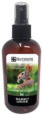 dog urine scent attractant