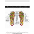 thumbnail image 5 of Foot Massar Electric Circulat Foot Booster For Feet And Legs, 5 of 5