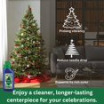 thumbnail image 4 of Extensor de vida para árboles de Navidad Chrysal Christmas Tree Food, 4 of 6