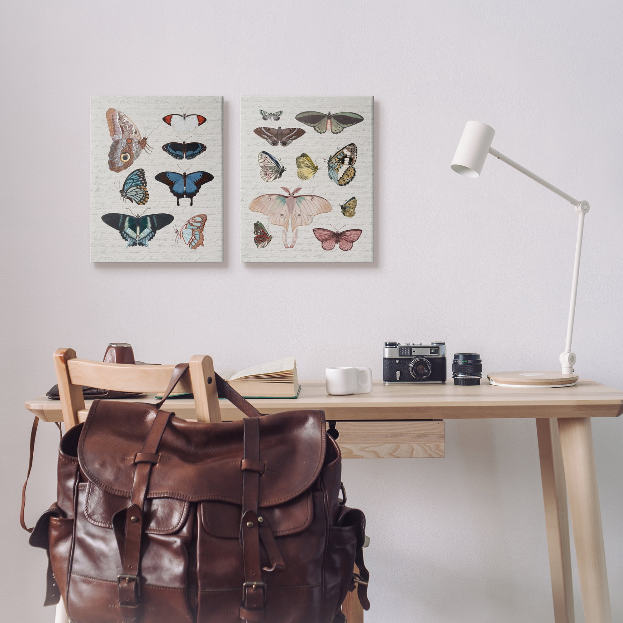 Stupell Industries Vintage Butterflies & Moths Animals & Insects Painting Gallery Wrapped Canvas Art Print Wall Art, 16 x 20, Set of 2
