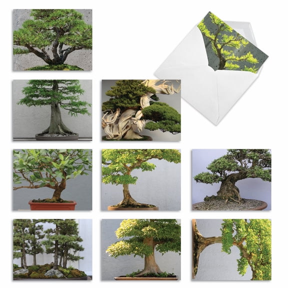 10 All Occasion Blank Note Cards Assorted (4 x 5.12 Inch) - TINY TREES M3307