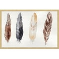 thumbnail image 2 of "Feathers" Framed Painting Print, 2 of 6
