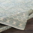 thumbnail image 3 of BoutiqueRugs Berowra Bohemian, Transitional Area Rug - Medium Gray, Beige, Pale Blue - 8'10" x 12', 3 of 9
