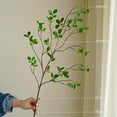 thumbnail image 5 of 3 PCS Artificial Branches with Leaf, 43.3 Inch Artificial Greenery Stems,Faux Olive Branches for Vase Filler,Decorative Dried Artificial Twigs Bendable Sticks for Shop Garden Office Home Decor, 5 of 5