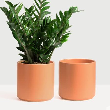 5 Inch (Set Of Two) Melon Ceramic Planter. Classic Cylinder Plant For House Plants And Indoor Plants (Drainage Stopper Included).