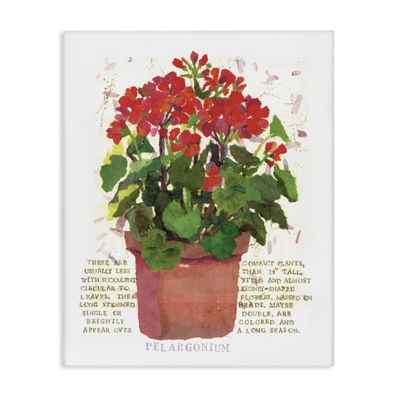 Stupell Industries Farmhouse Red Potted Geranium Canvas Art, 16 x 20, by Nancy Overton