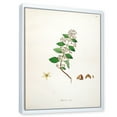 thumbnail image 3 of Designart 'Ancient Botanicals I' Farmhouse Framed Canvas Wall Art Print, 3 of 5