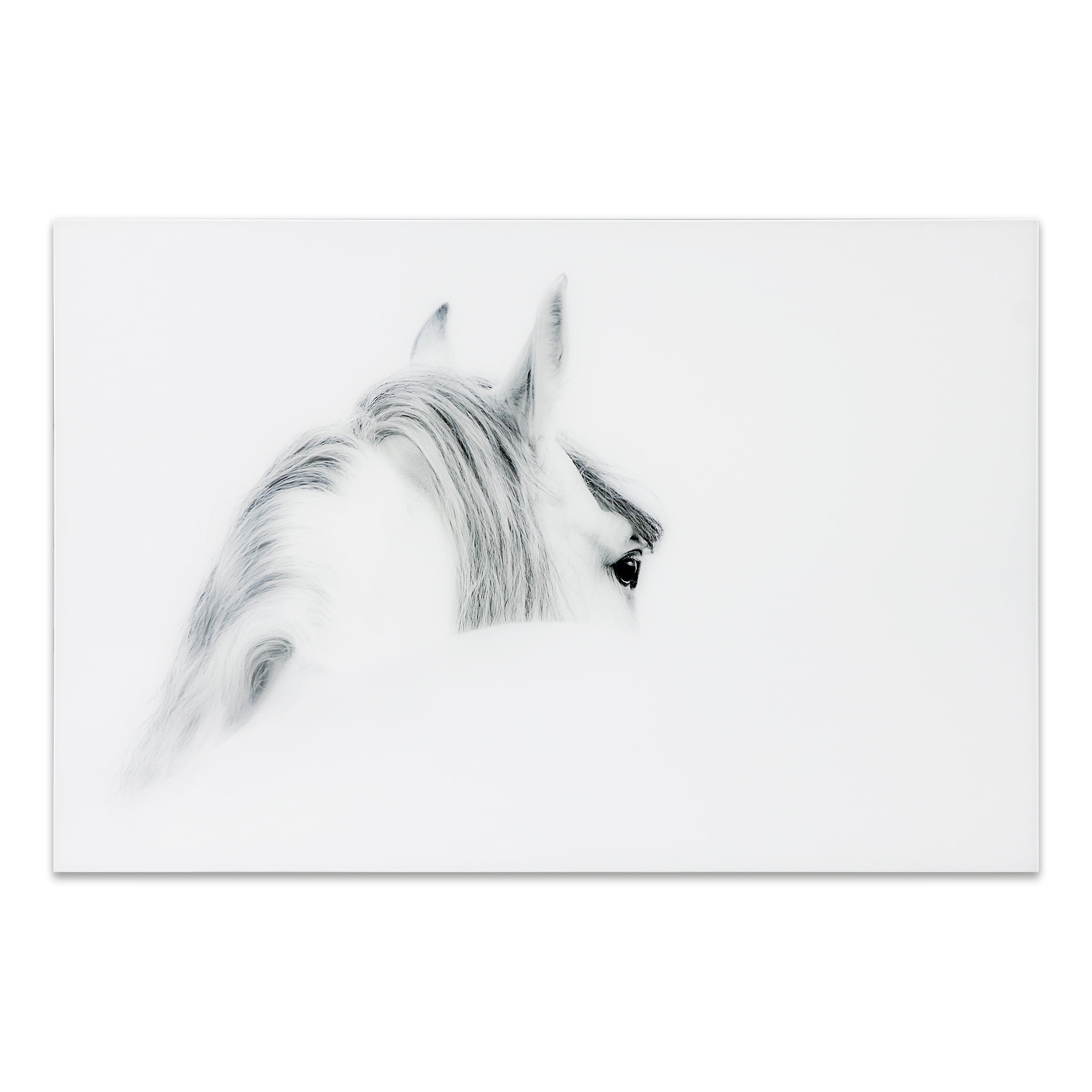 Empire Art Direct White Horses Set Frameless Free Floating Tempered Glass Panel Graphic Wall Art, 48