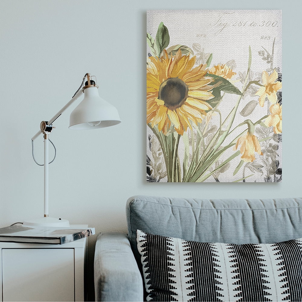 Stupell Industries Soft Sunflower Floral over Vintage Plant Illustration Canvas Wall Art by Kim Allen
