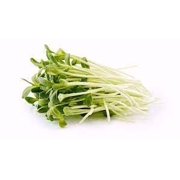 Nature Jims Sprouts Sunflower Seeds - Certified Organic Black Oil Sunflower Sprouts for Soups - Raw Bird Food Seeds - Non-GMO, Chemicals-Free - Easy to Plant, Fast Sprouting Sun Flower Seeds - 8 Oz