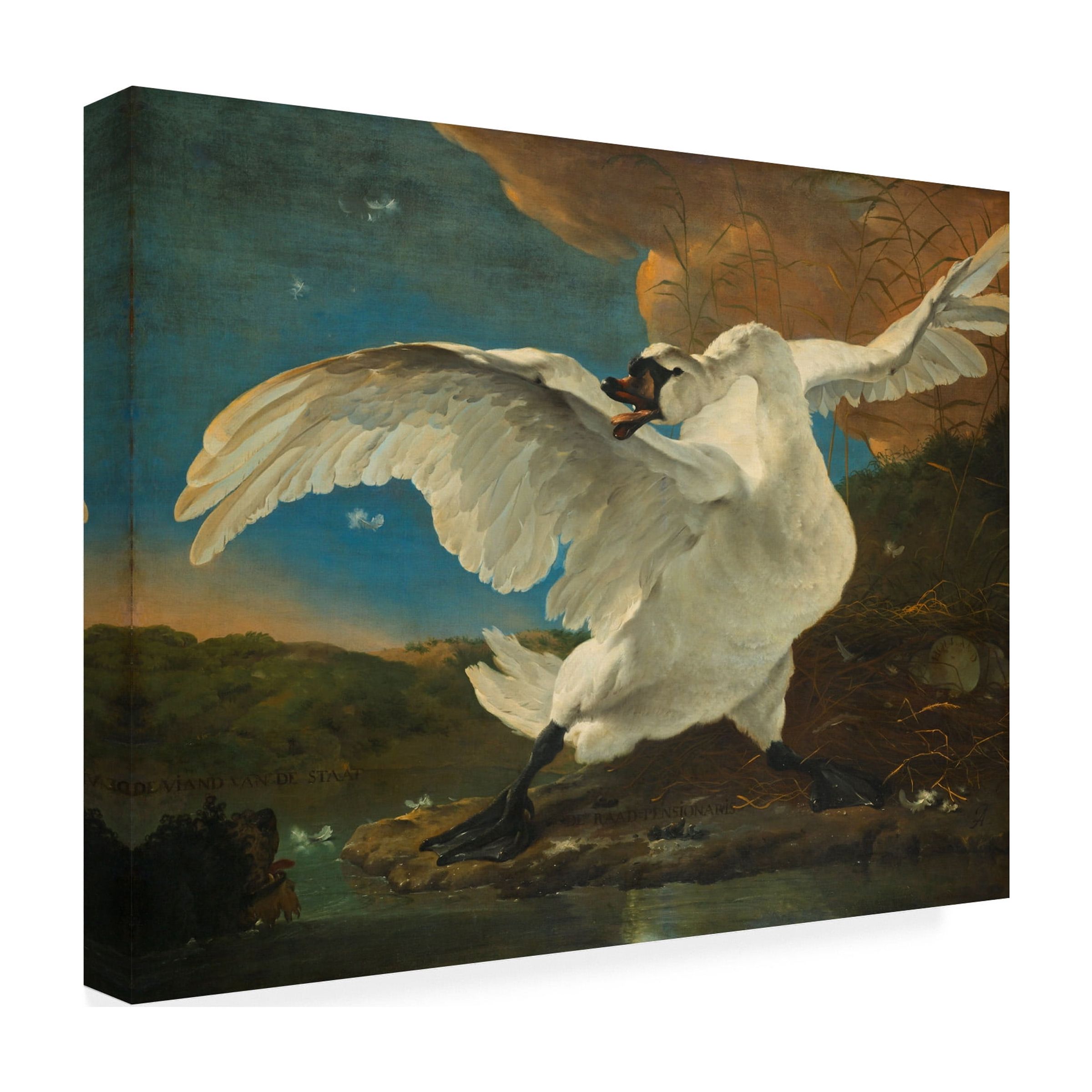 Trademark Fine Art Jan Asselijn The Threatened Swan Canvas Wall Art - 18x24