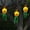 Warm Color, variant on TETOU 5Pcs Halloween Decorations Outdoor Hanging Lights, Glowing Pumpkin Witch Hat Led Scary Light for Indoor Outside Party Tree Garden Porch Halloween Decoration - Multicolor
