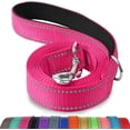thumbnail image 1 of LAICAIW Double-Sided Reflective Dog Leash, 6 FT/5 FT/4 FT, Padded Handle Nylon Dogs Leashes for Small & Medium Dogs Walking, Hotpink, 4FT, 1 of 6