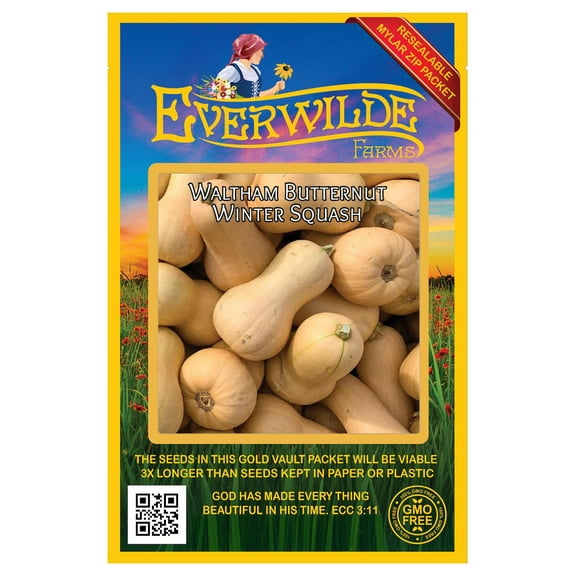 Everwilde Farms - 40 Waltham Butternut Winter Squash Seeds - Gold Vault Seed Packet