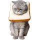 thumbnail image 1 of Adjustable Cat E-collar, Cute Toast Neck Cone After Surgery, Wound Healing Protective Cone Bread Surgery Recovery Elizabethan Collars, Soft Edge For K, 1 of 5