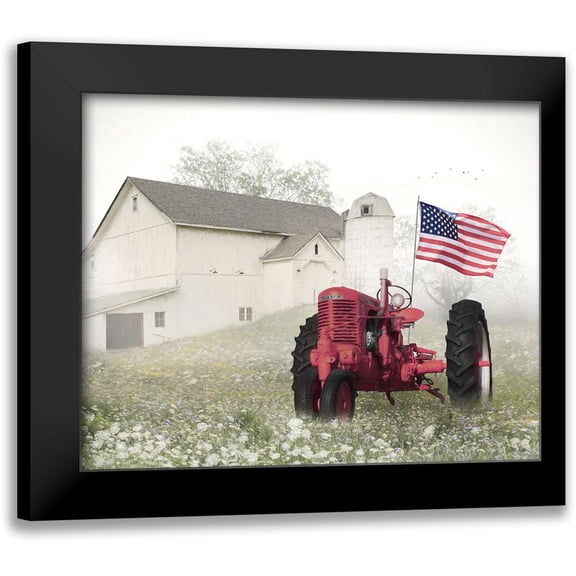 Deiter, Lori 14x12 Black Modern Framed Museum Art Print Titled - Old Glory at the Barn