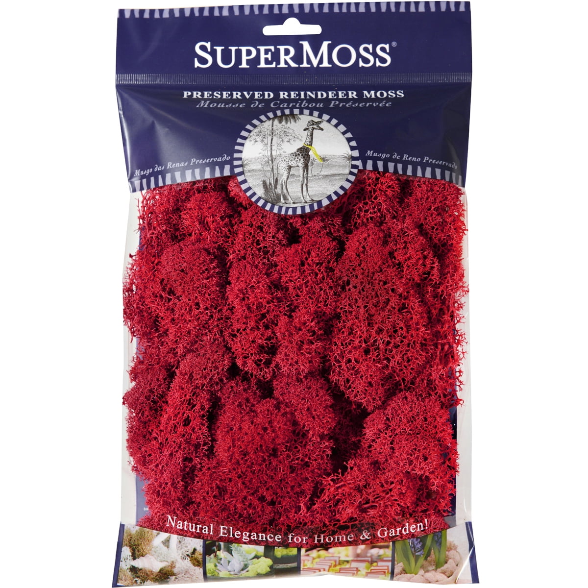 Super Moss Reindeer Moss Red 