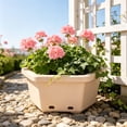 thumbnail image 4 of Hexagon Planter Pot Thickened Modern Plastic Flower Container with Drainage Hole for Indoor Outdoor Balcony Garden Home, 4 of 6