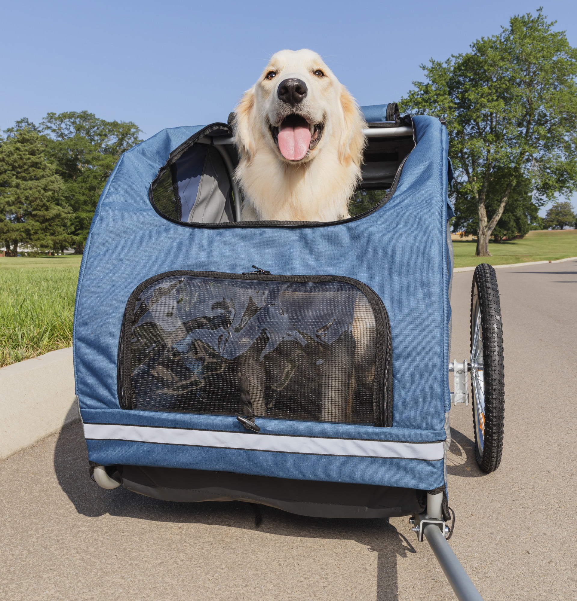 PetSafe Bicycle Trailer for Dogs, Includes Safety Tether & Pouches, Large, Blue - Walmart.com