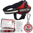 thumbnail image 1 of Set de accesorios para perros de servicio, chaleco Pelto, etiqueta de identificación y 50 tarjetas ADA, 1 of 5