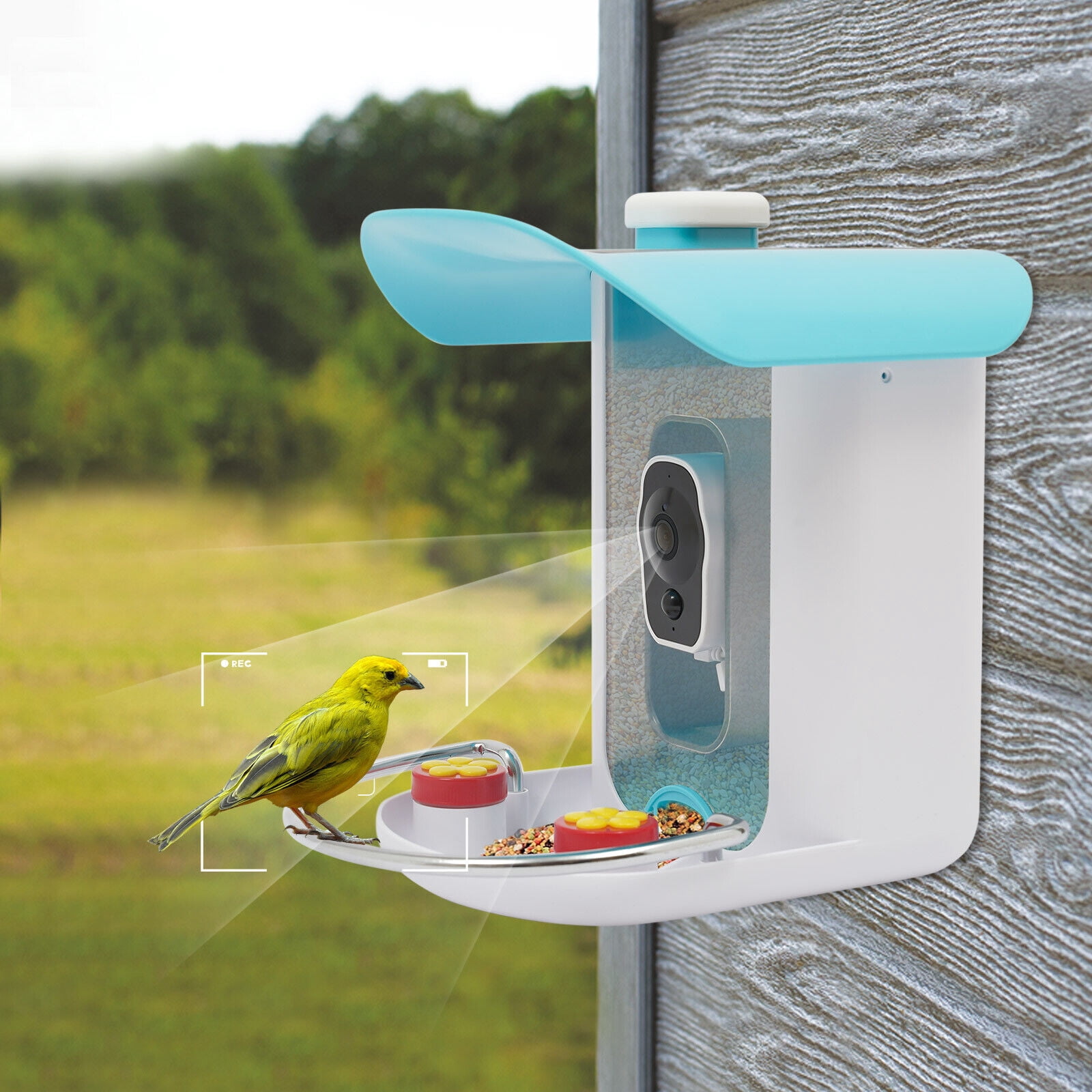 Blue&White Modern Smart Bird Feeder - 1080P 2MP Camera,150° Wide Angle,AI Bird Recognition (11000+ Species),Solar/USB Powered,IP65 Waterproof,2.5L Capacity for Outdoor Bird Watching