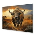 thumbnail image 2 of Designart "Tan Amber African Bison Creatures" Animals Metal Art Print, 2 of 5