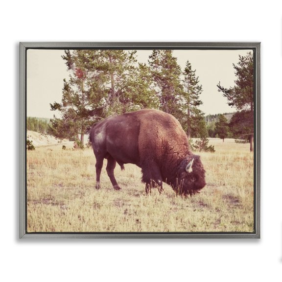 Stupell Industries Traditional Wild Bison Rural Nature Scenery Gray Floating Frame Canvas Art, 21 x 17, by Stede Bonnett