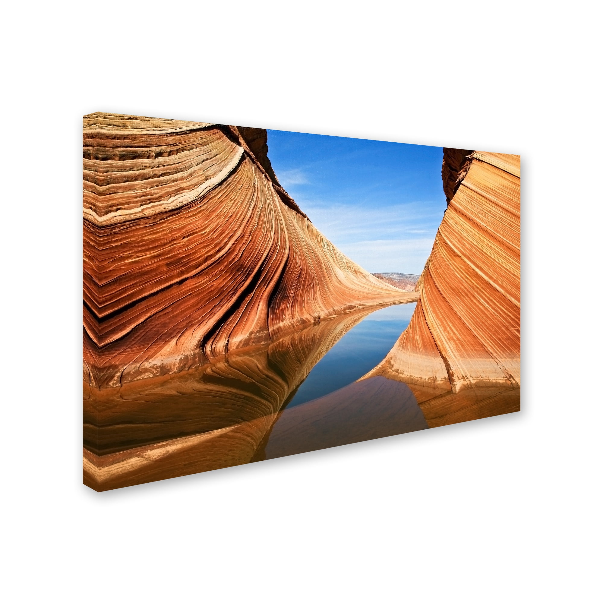 Trademark Fine Art 'Follow The Flow' Canvas Art by Nanouk El Gamal