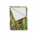 thumbnail image 2 of Zoo Soft Flannel Fleece Throw Blanket, Jaguar on Wood Floor Wildlife Animals Feline Big Cat Mammal Predator Resting, Cozy Plush for Indoor and Outdoor Use, 70" x 90", Green Yellow Brown, by Ambesonne, 2 of 6