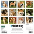 thumbnail image 2 of Just Shiba Inus 2024 12 X 12 Wall Calendar (Calendar), 2 of 3