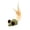 A, variant on Tdxkok Wood Cat Toothbrush Toy Mint Chewable Dental Toy Interactive Teaser Toy for Cats Oral Care Pet Supplies