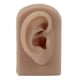 thumbnail image 2 of Modelo De Oreja De Silicona, Oreja Derecha Y Flexible, Modelo De Oreja Humana Reutilizable Para Entrenamiento De Perforación De Oreja Y Exhibición De Aretes, Herramienta De, 2 of 7