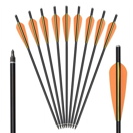 100grain Crossbow Bolts17 Carbon Arrows Screw Point Vanes Archery Bow Hunting