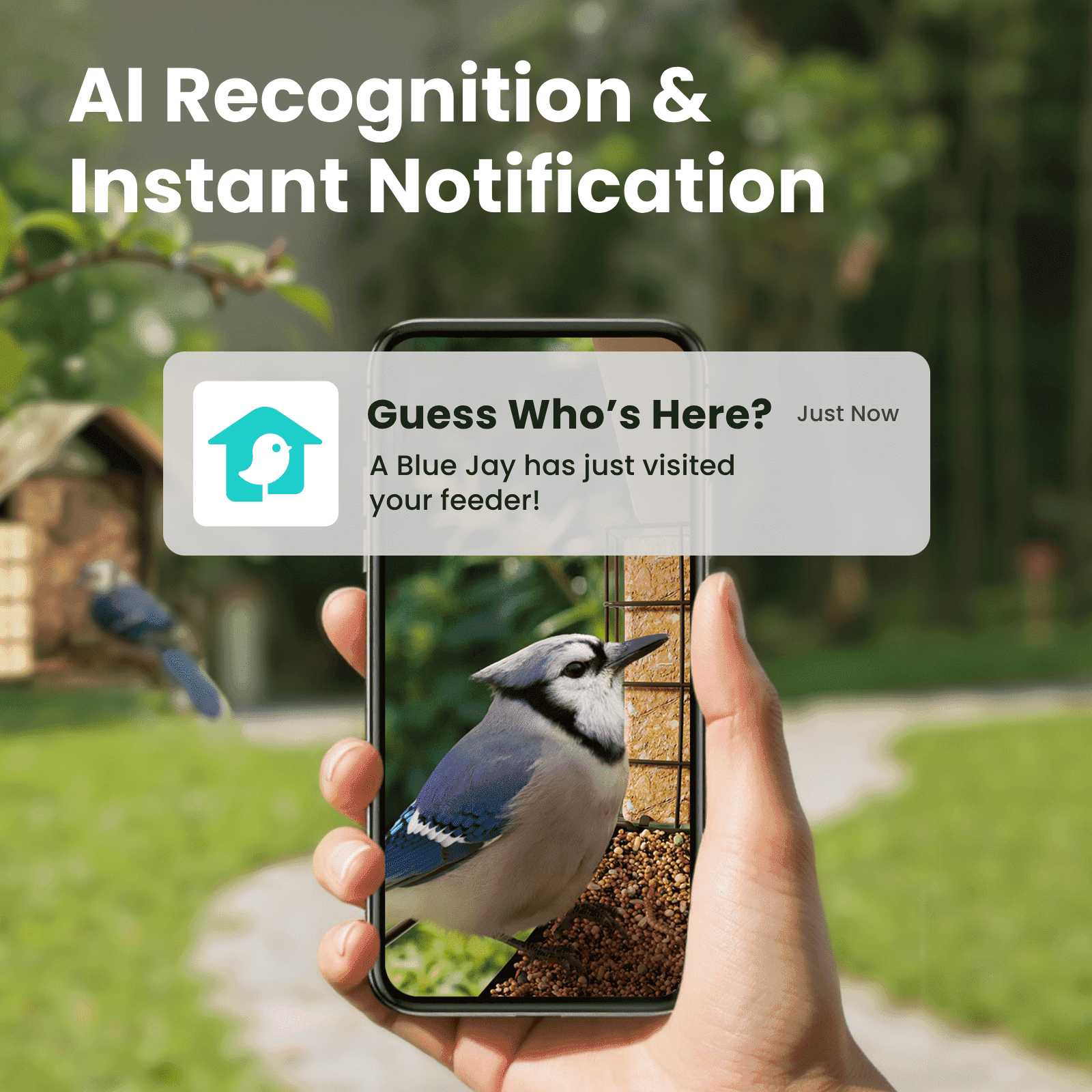 Birdfy Smart Bird Feeder with Camera, 1080P HD, 60FPS Video, AI Bird Identification, Night Vision, Cloud Storage, Suet Holder, Gift for Bird Lovers, Metal V