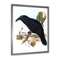 thumbnail image 2 of Designart 'Ancient Australian Birds VI' Traditional Framed Art Print, 2 of 4