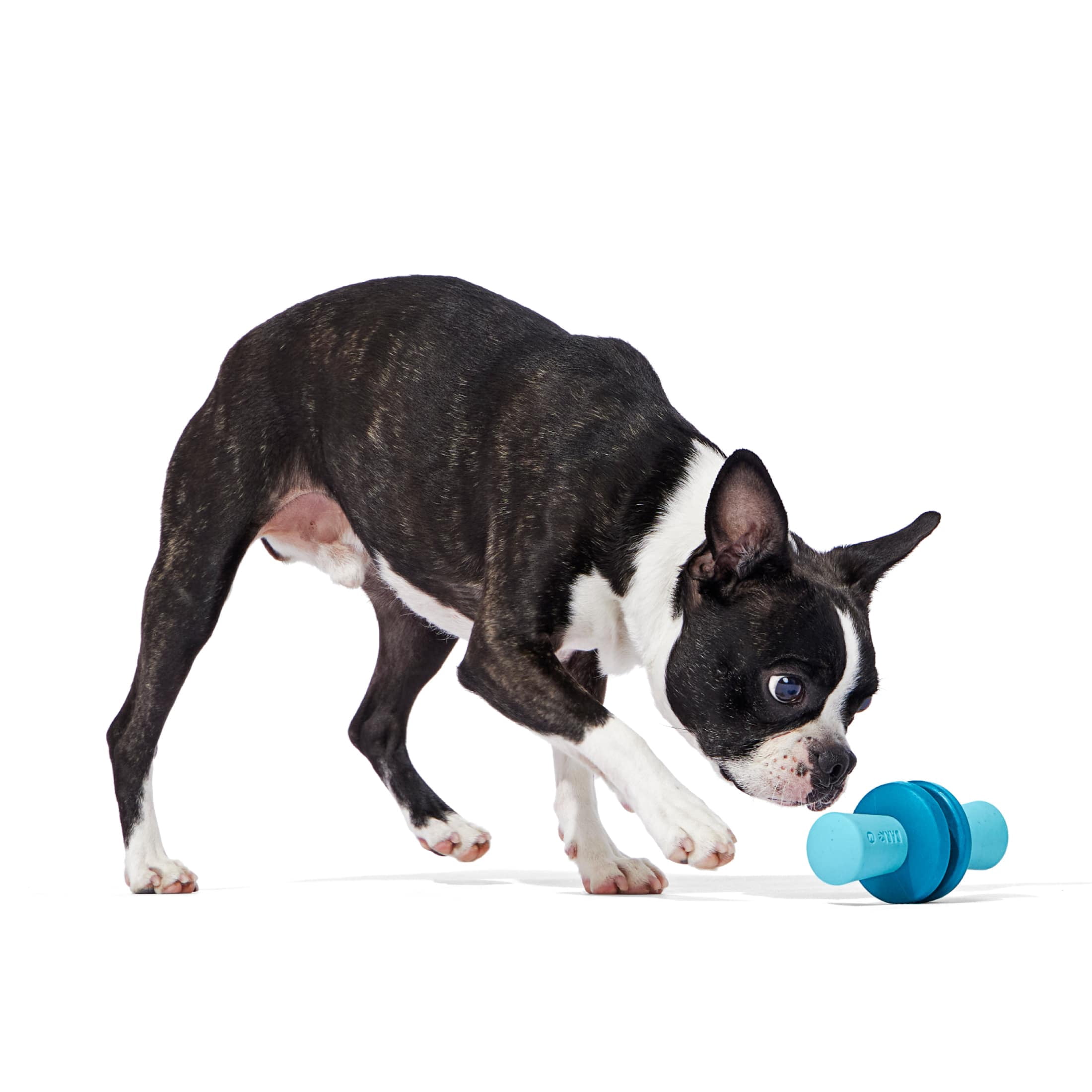 BARK Kingpin Super Chewer Nylon & Rubber Dog Toy, Large