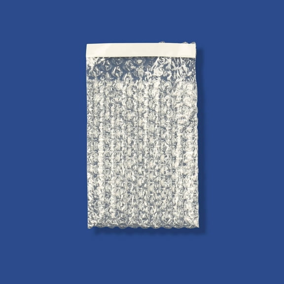 100 4x5.5 Clear Self-Sealing Bubble Out Bag Pouches from The Boxery