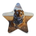 thumbnail image 2 of Star Shaped Energy Saving Night Light Living Room Night Light, Bedroom Night Light, Corridor Night Light, Study Night Light Steppe Yellow Tiger, 2 of 6