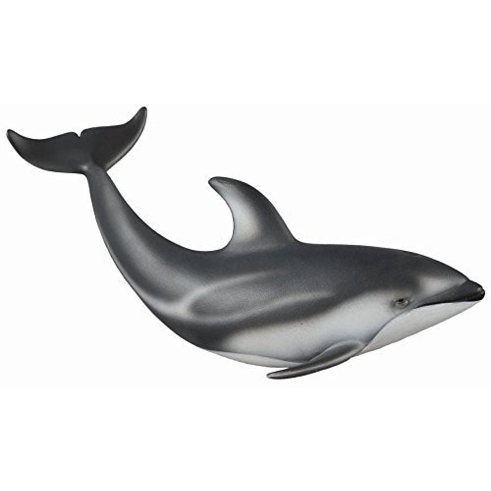 collecta dolphin