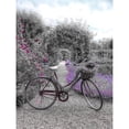 thumbnail image 3 of Frank, Assaf 19x24 Black Modern Framed Museum Art Print Titled - Bicycle on a garden path, 3 of 5