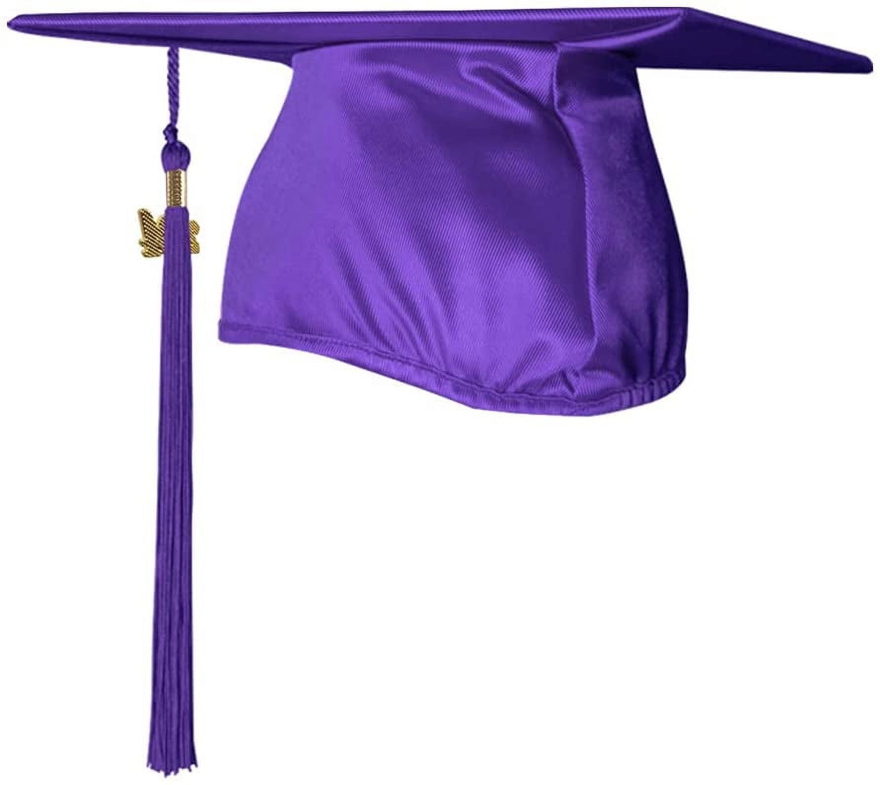 Endea Graduation Mixed Triple Color Tassel with Gold Date Drop  (Black/Purple/Gold, 2024) 