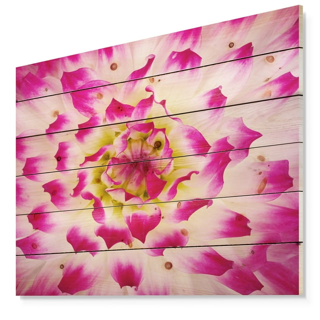 Design Art - Pétales de Fleurs de Rose Blanches Lisses