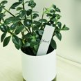thumbnail image 2 of Uxcell PVC Plant Label Stakes 15 x 2.5cm Water Resistant for Garden Tag White 100 Pack, 2 of 6