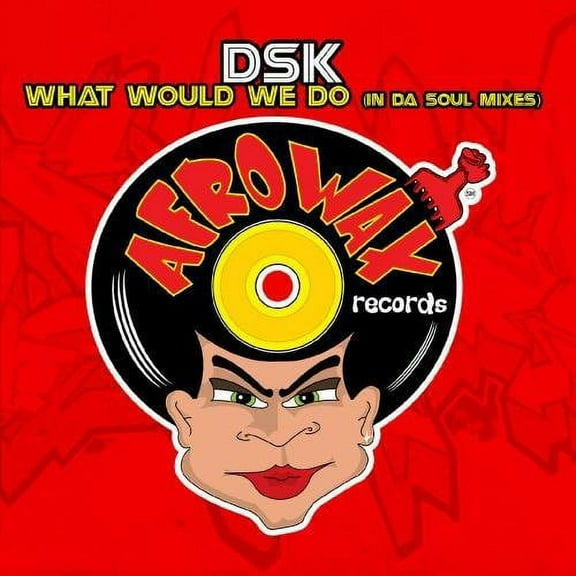DSK - What Would We Do - House - CD