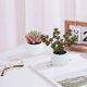 thumbnail image 3 of 2 uds. Bonsái de diamante grande, simulación de bonsái suculento, flor artificial, planta decorativa creativa, decoración interior, 3 of 5