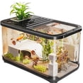 thumbnail image 1 of Home landscaping with cover climbing tabletop turtle feeding tank, 1 of 6