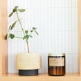 thumbnail image 3 of P.F. Candle Co. Standard Candle - Teakwood & Tobacco (7.2 oz Soy Wax, 40-50 Hour Burn Time, Amber Glass Jar), 3 of 5