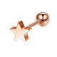 thumbnail image 1 of Pendiente de acero inoxidable con forma de estrella para trago, pequeño pendiente con forma de luna, corazón, hélice, piercing para cartílago, flor, lóbulo, oro rosa, Pr, oro rosa, 1 of 5