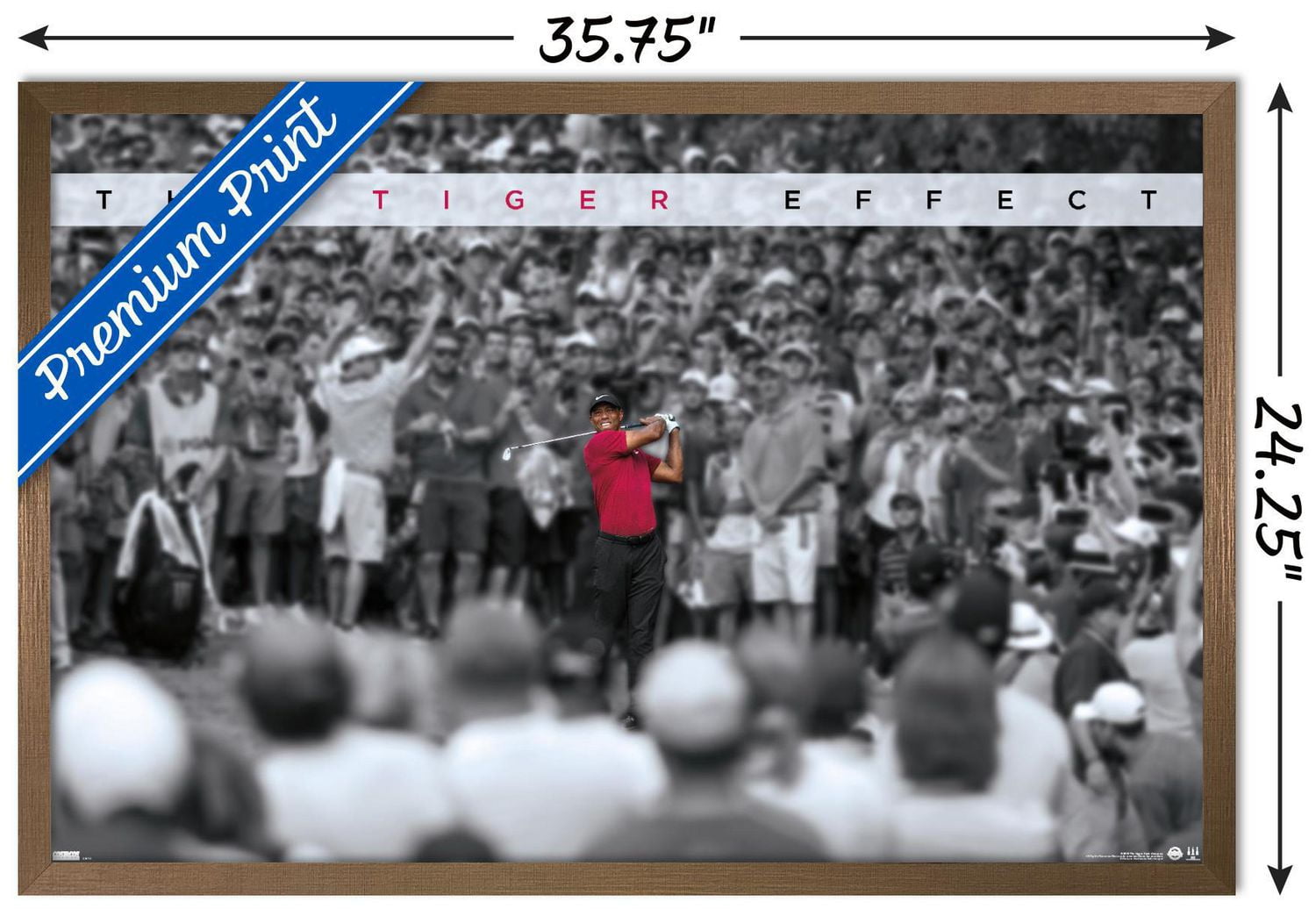 Tiger Woods - The Tiger Effect Wall Poster, 22.375" x 34"